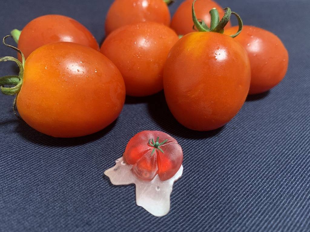 【Drop Ink】潰れちゃったトマト駒